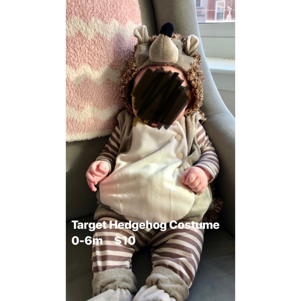 Target Hedgehog Costume (0-6M)